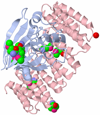 Image Biol. Unit 1 - sites