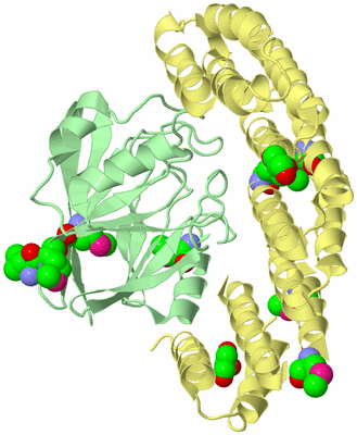 Image Biological Unit 2