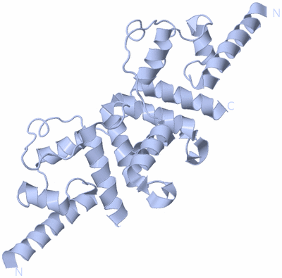 Image Biological Unit 1