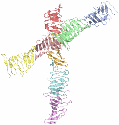 Image Asymmetric Unit