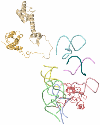 Image Asym./Biol. Unit