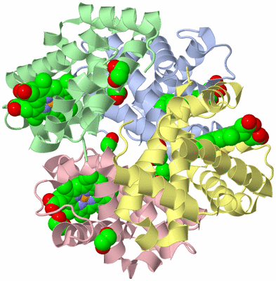 Image Asym./Biol. Unit