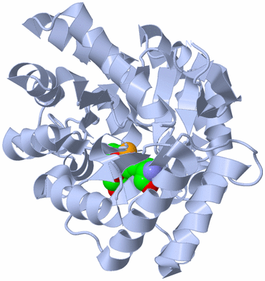 Image Biological Unit 1