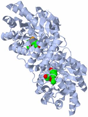 Image Biological Unit 2