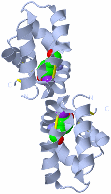 Image Biological Unit 1