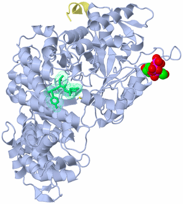 Image Biological Unit 1