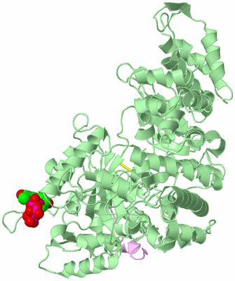 Image Biological Unit 2