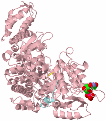 Image Biological Unit 3