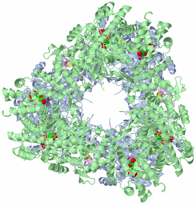 Image Biological Unit 4