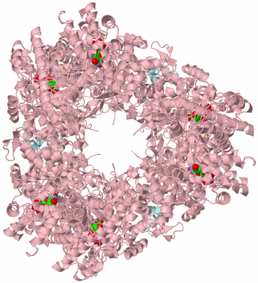 Image Biological Unit 5