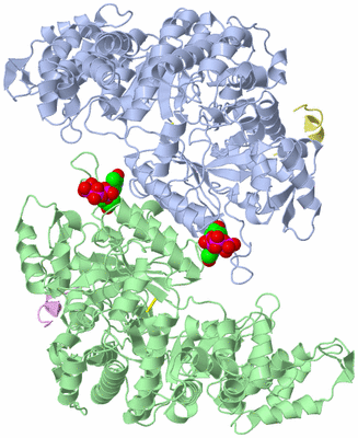 Image Biological Unit 6