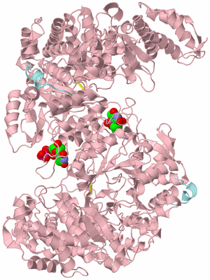 Image Biological Unit 7