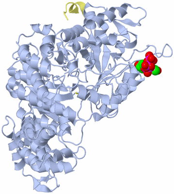 Image Biological Unit 8