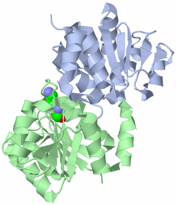 Image Asym./Biol. Unit