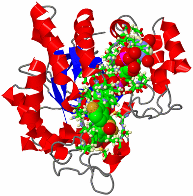 Image Asym./Biol. Unit - sites