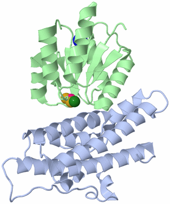 Image Asym./Biol. Unit