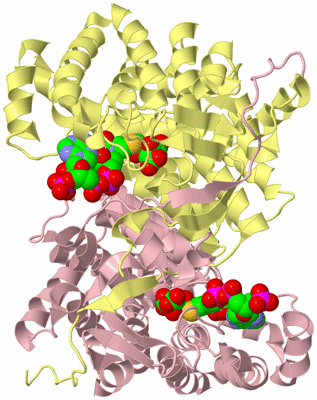 Image Biological Unit 2