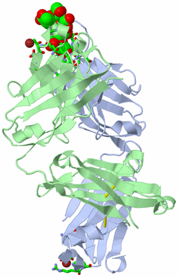 Image Asym./Biol. Unit - sites