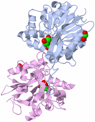 Image Biological Unit 1