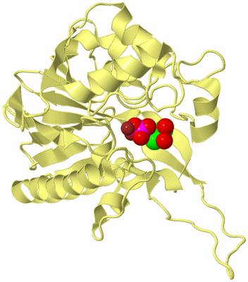 Image Biological Unit 10