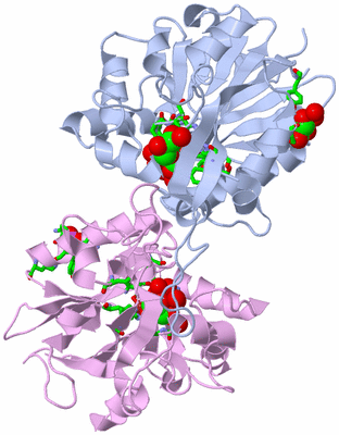 Image Biol. Unit 1 - sites