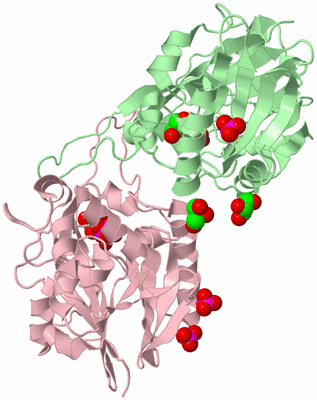 Image Biological Unit 2