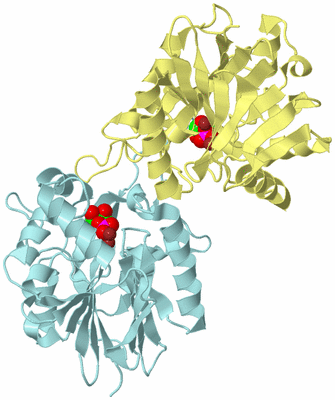 Image Biological Unit 3