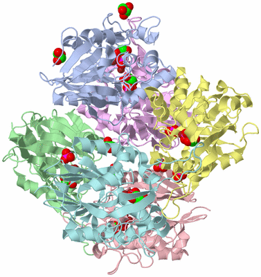 Image Biological Unit 4