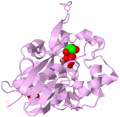 Image Biological Unit 5