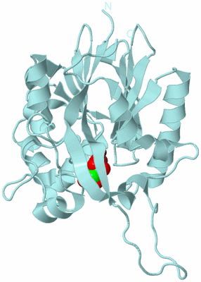 Image Biological Unit 6