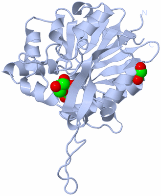 Image Biological Unit 7