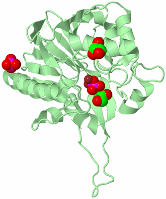 Image Biological Unit 8