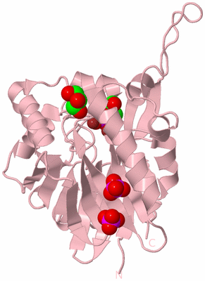 Image Biological Unit 9