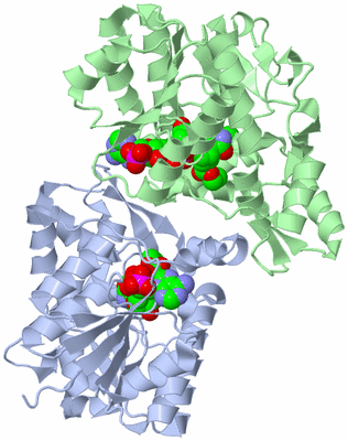 Image Biological Unit 1