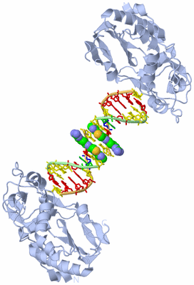 Image Biological Unit 1