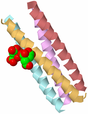 Image Biological Unit 2