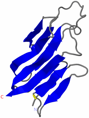 Image Asymmetric Unit