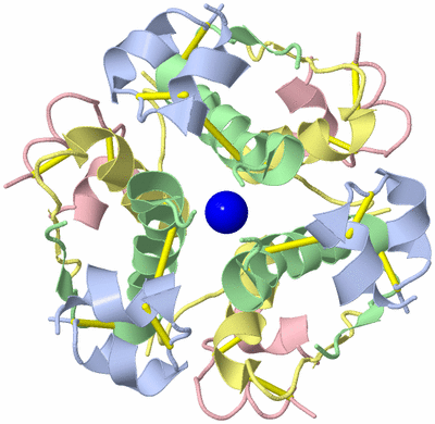 Image Biological Unit 1