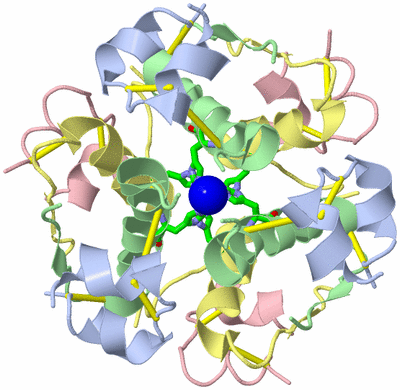 Image Biol. Unit 1 - sites