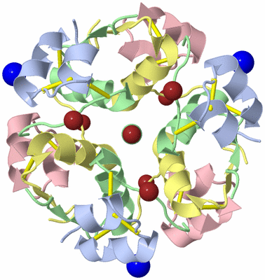 Image Biological Unit 1