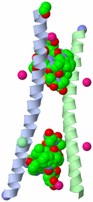 Image Asymmetric Unit