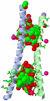 Image Asym. Unit - sites