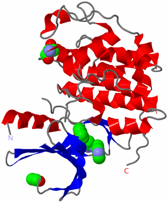 Image Asym./Biol. Unit