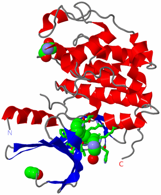 Image Asym./Biol. Unit - sites