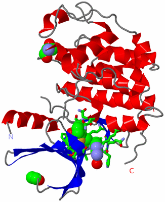 Image Asym./Biol. Unit - sites