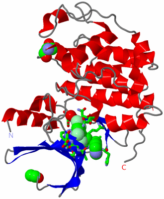 Image Asym./Biol. Unit - sites