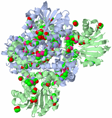 Image Biological Unit 2