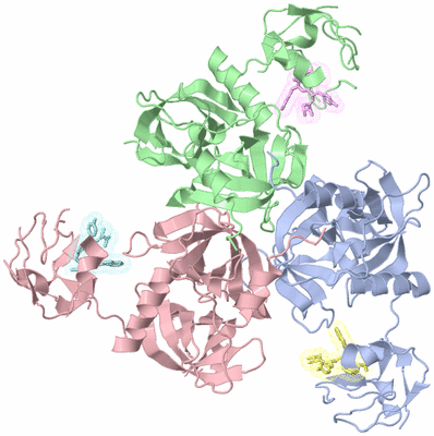 Image Asym./Biol. Unit