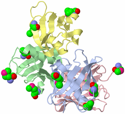 Image Biological Unit 2