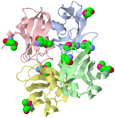 Image Biological Unit 3